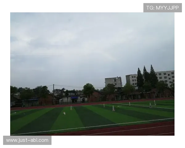 星空体育体育助力校园体育发展,推动青少年体育素质全面提升 星空体育体育助力校园体育发展,推动青少年体育素质全面提升