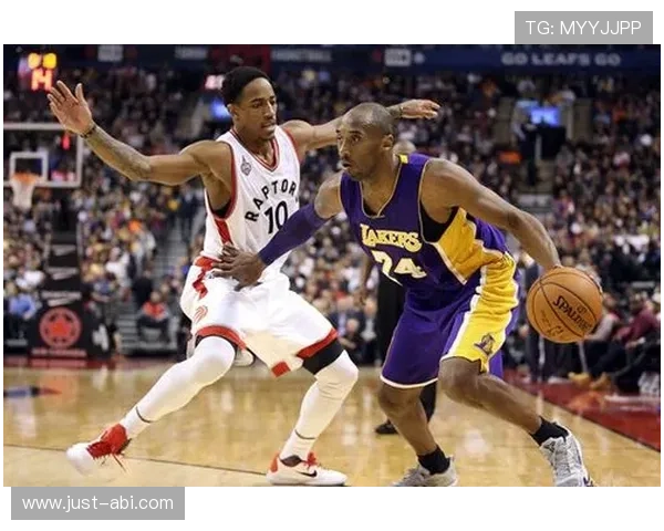 7m体育登录会员登录安全保障措施提升账号安全防护的实用技巧